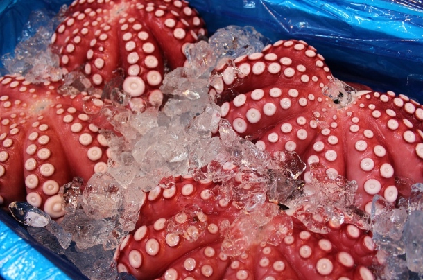 Pulpo á feira 